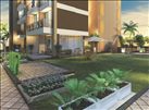 VM Mohan Palms photo 4