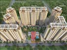 Ambika Estate photo 4